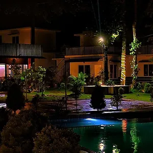 Resort Haze Woods